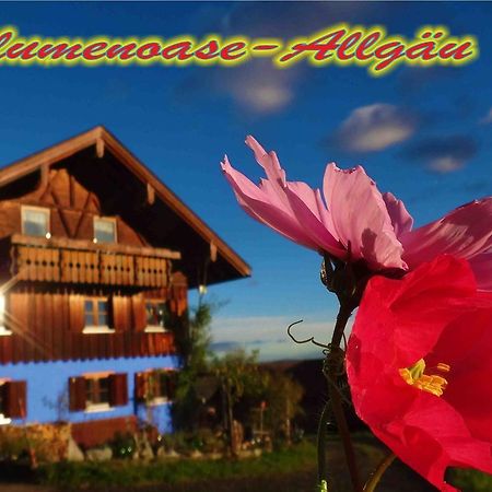 Blumenoase Allgaeu Schwanden Екстер'єр фото