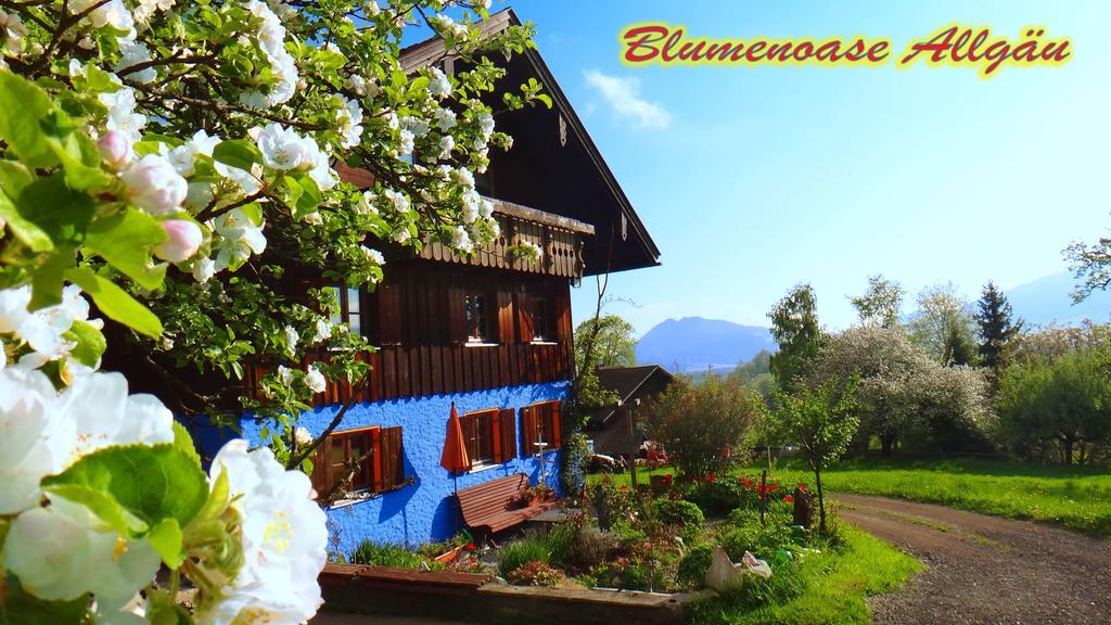 Blumenoase Allgaeu Schwanden Екстер'єр фото