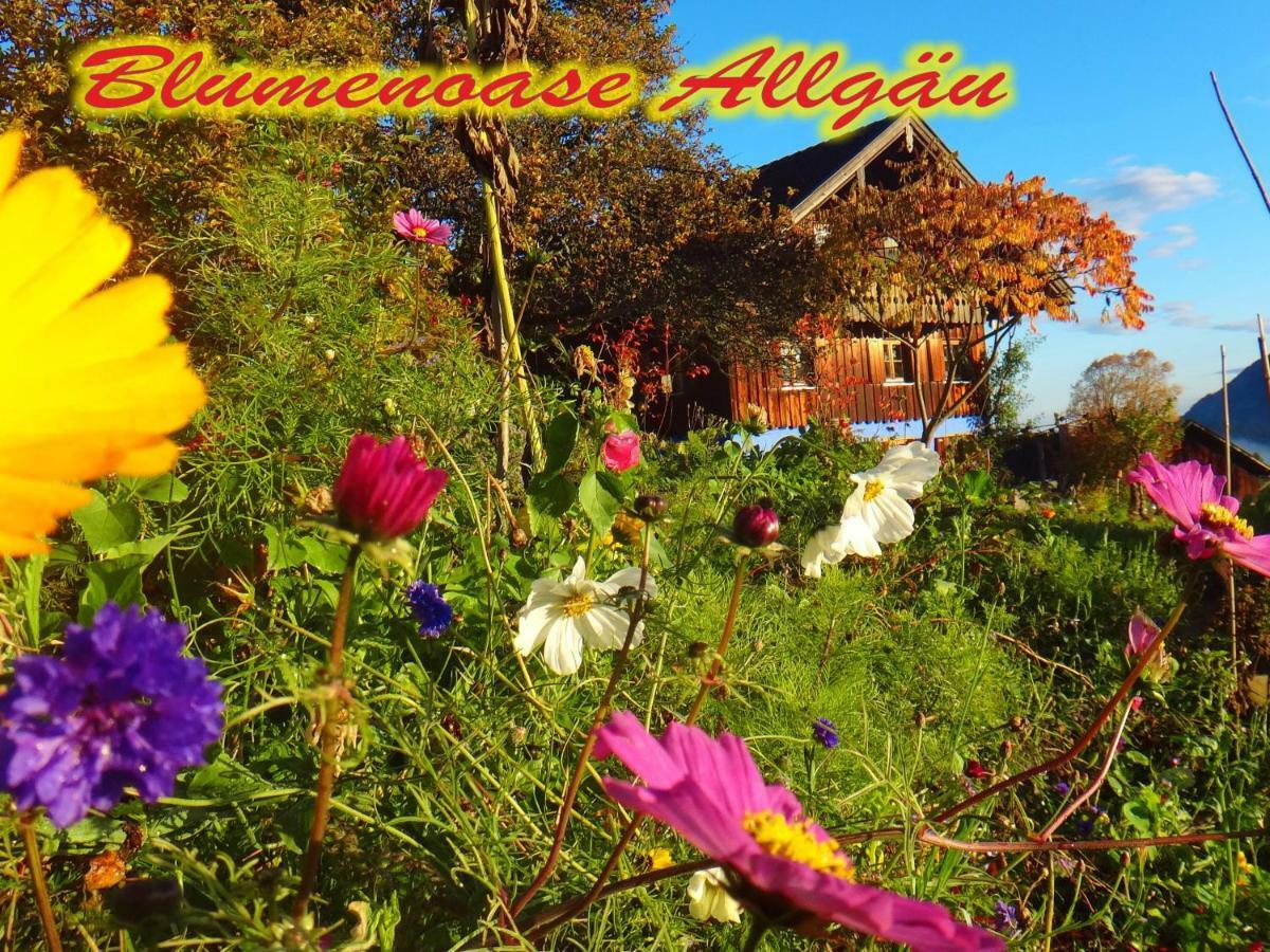 Blumenoase Allgaeu Schwanden Екстер'єр фото