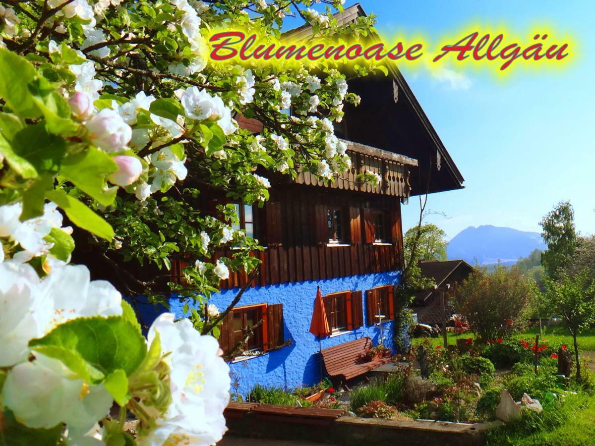 Blumenoase Allgaeu Schwanden Екстер'єр фото
